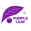 Purple Leaf